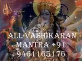 family problem solution by indian astrologer+919461165176