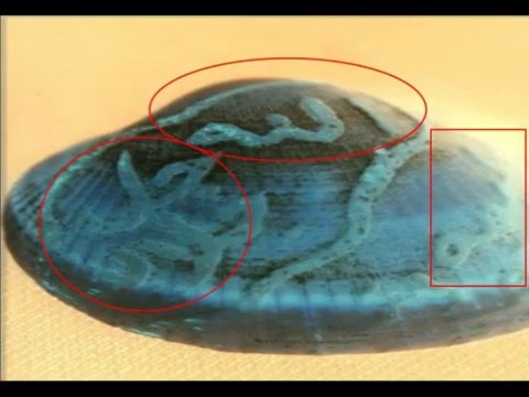 Allah written on Sea Shell {Miracles Museum}