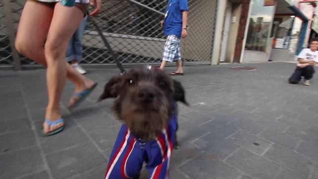 À Aulnoye-Aymeries, on prépare déjà la suite de la coupe du Monde de football