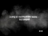 2x2 предупреждает: Все герои ненастоящие. А вред от употребления табака настоящий (2x2, 06.2014) Заставка-предупреждение