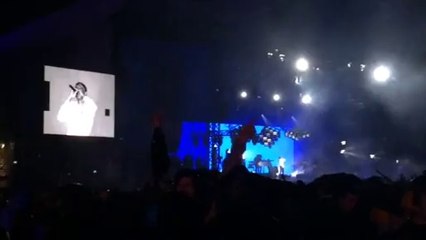 stromae Eurockéennes 2014 Formidable