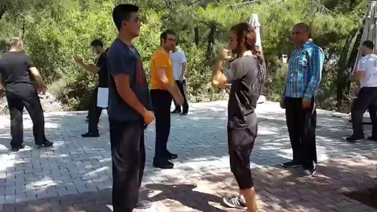 Instinct Combat Systems - Taiji Quan Basics