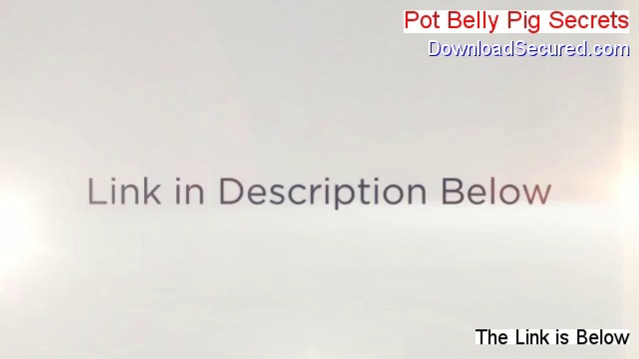 Pot Belly Pig Secrets Free PDF [Get It Now 2014]
