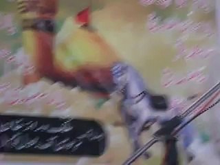 Molana Malik Ameer Ateeb Chakwal