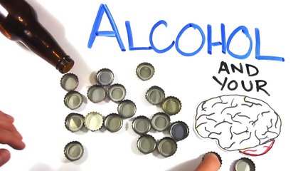 Your Brain on Drugs  Alcohol