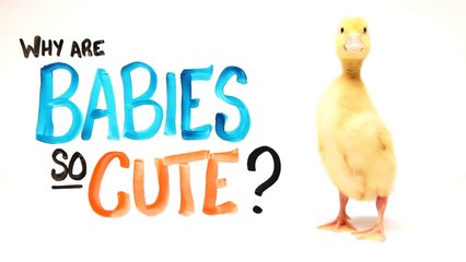 Why Are Babies So Cute