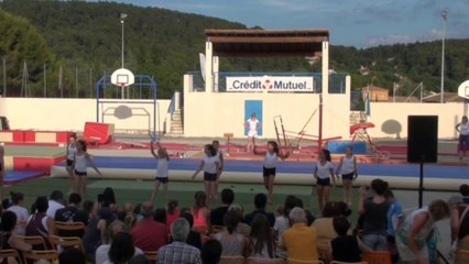 Gala 2014 : Les Experts Miami - Groupe de loisir