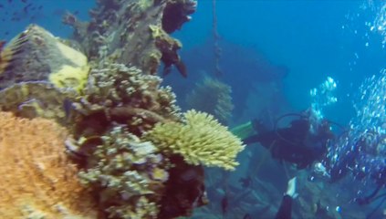 18-04-2014 - Simply Scuba Tioman Dive Trip