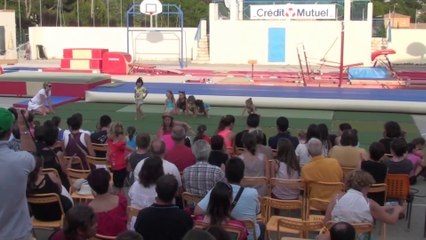 Gala 2014 : Perrier - Groupe de pré poussines