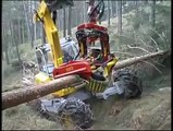 Son teknoloji ile ağaç kesimi