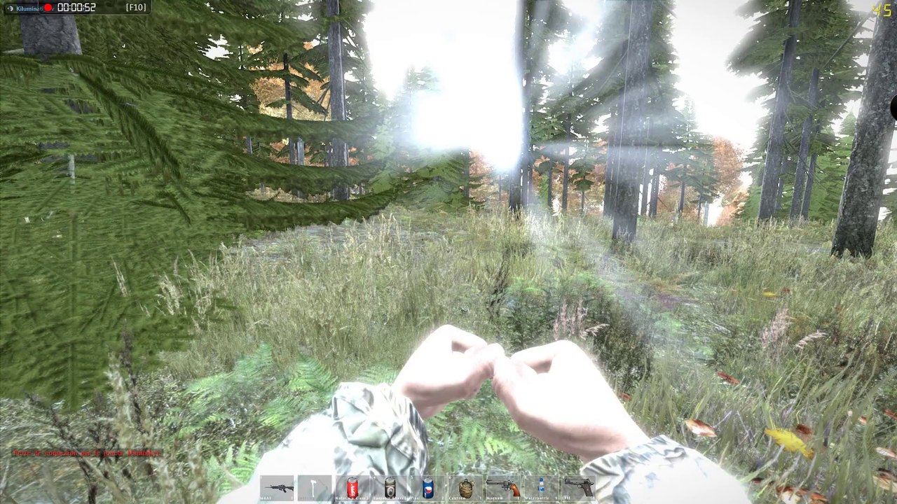 Flashbang Dayz SA