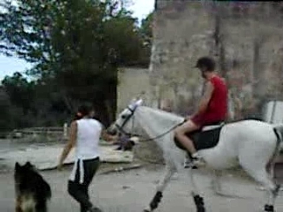 un pot ki mon sur mon pti poney adoré