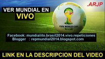 Ver partido ARGENTINA vs BELGICA En Vivo Mundial Brasil 2014 05 de Julio 2014