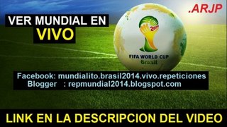 Ver partido ARGENTINA vs BELGICA En Vivo Mundial Brasil 2014 05 de Julio 2014