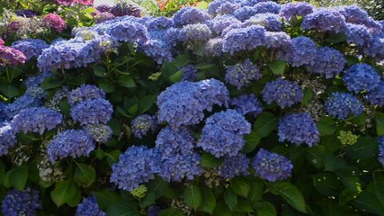 La Ferme de Kerscuntec, Maison d'hôtes de charme en Bretagne