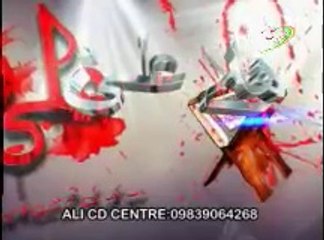 AATI HE SADA-S. SHARIQ MEHDI RIZVI NOHAY 1435 HIJRI 2014 YEAR