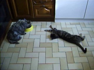 le repas de Babylone et de Jaudy