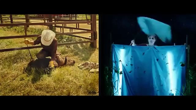 The Young and Prodigious T.S. Spivet Movie CLIP - Insects (2014) - Helena Bonham Carter Movie HD