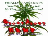 Story About Hemp - It's Celebration Time!