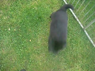 5 juillet 2014 (30 jours)