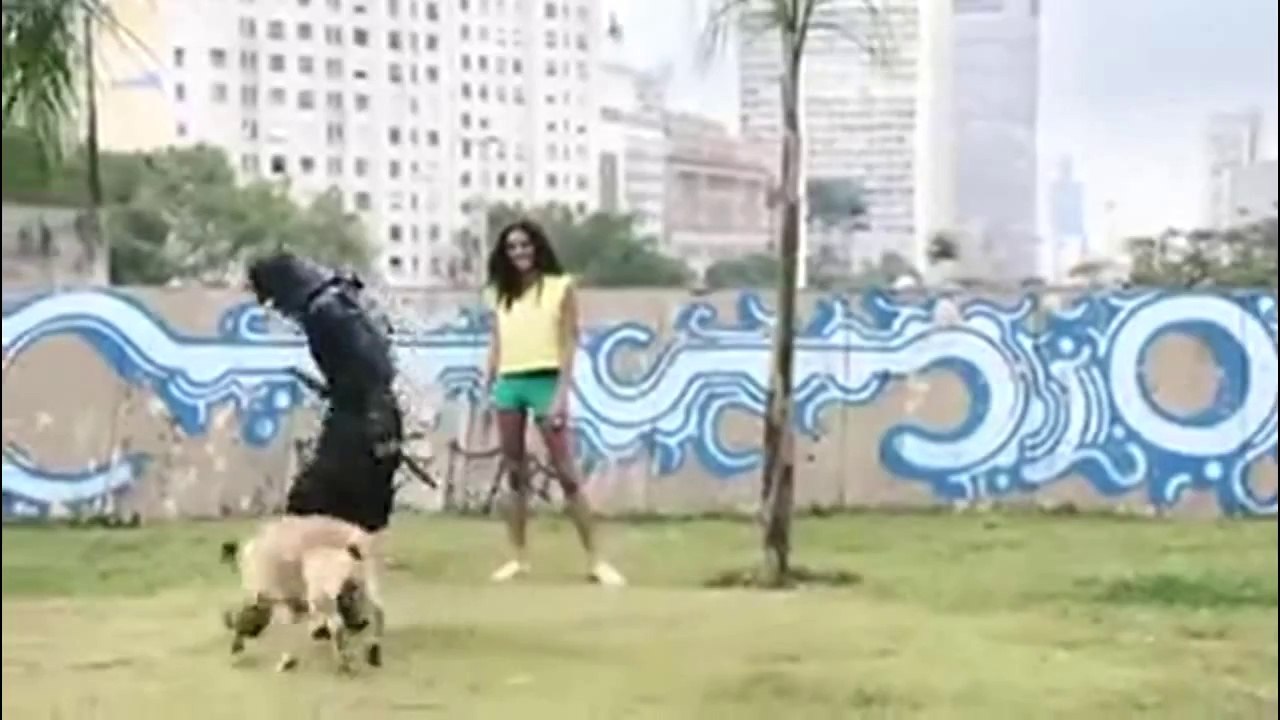 Samurai en Brasil