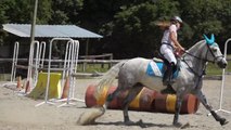 Lulu - Galop 6 obstacles