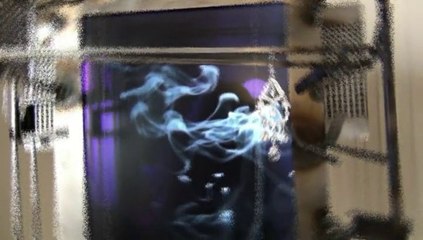 Tourne avec moi | J'ai oublié mon collier | 5 juillet 2014