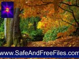 Download Autumn Tree - Animated Screensaver 5.07 Activation Number Generator Free