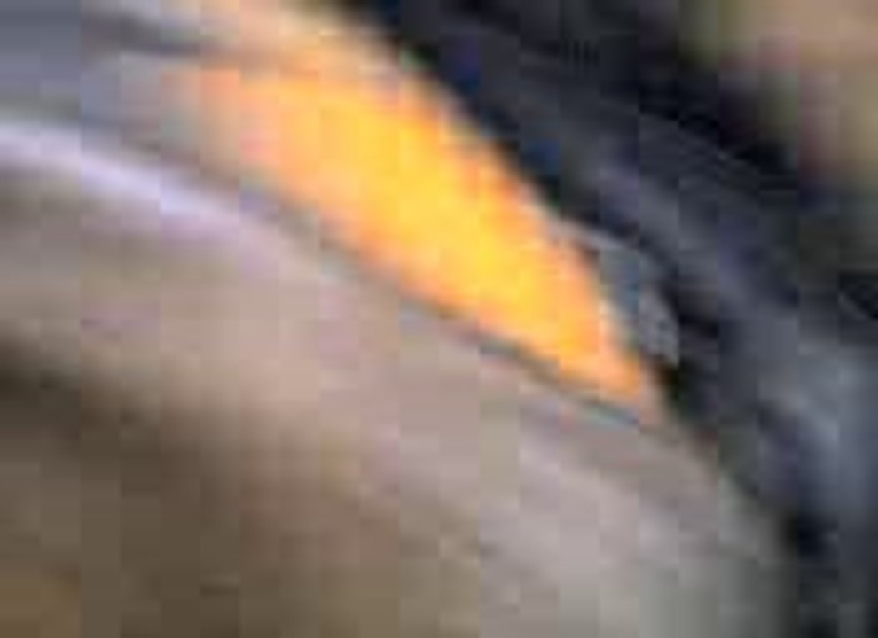 08-11-06_purcell