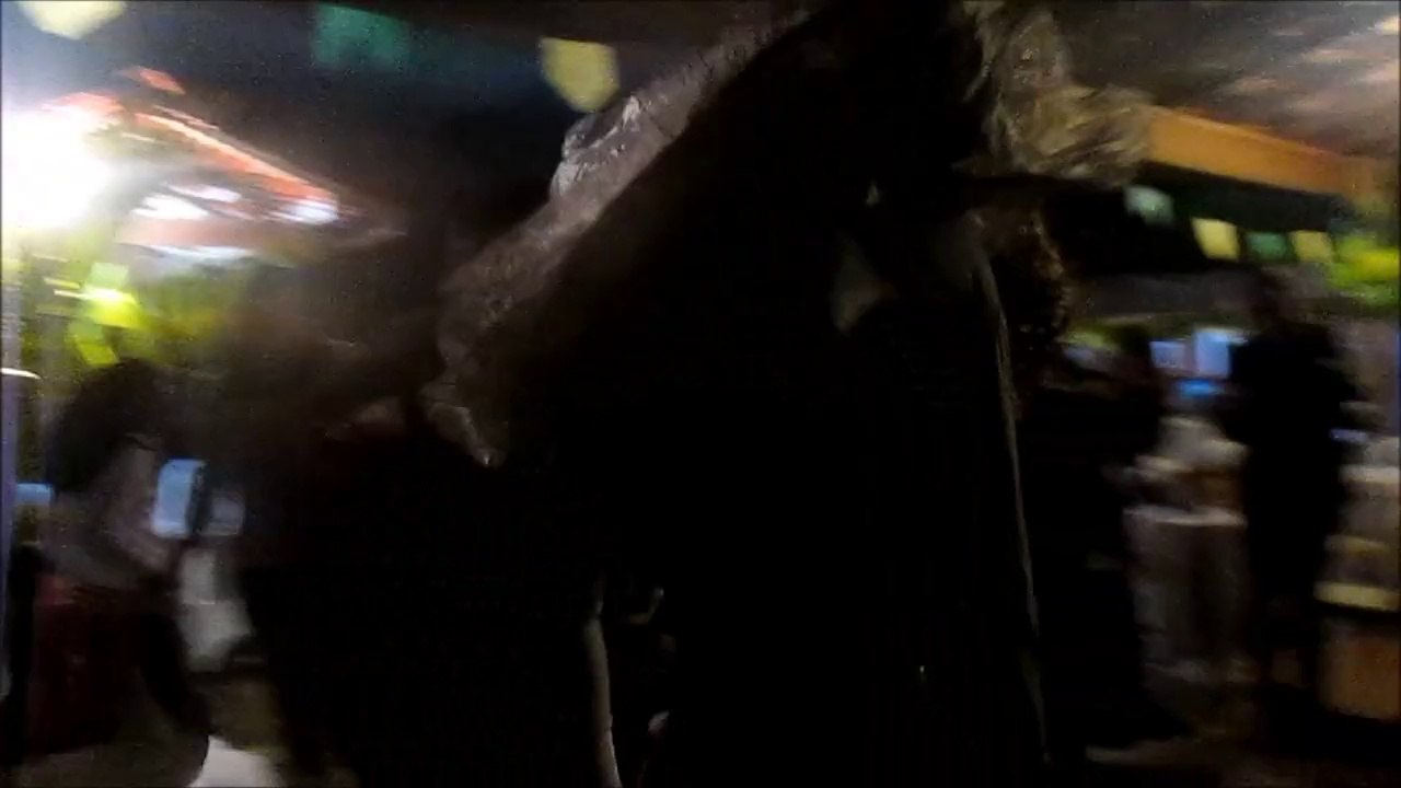 3ra parte Festa Junina_San Roque _Sao Paulo_ Brazil