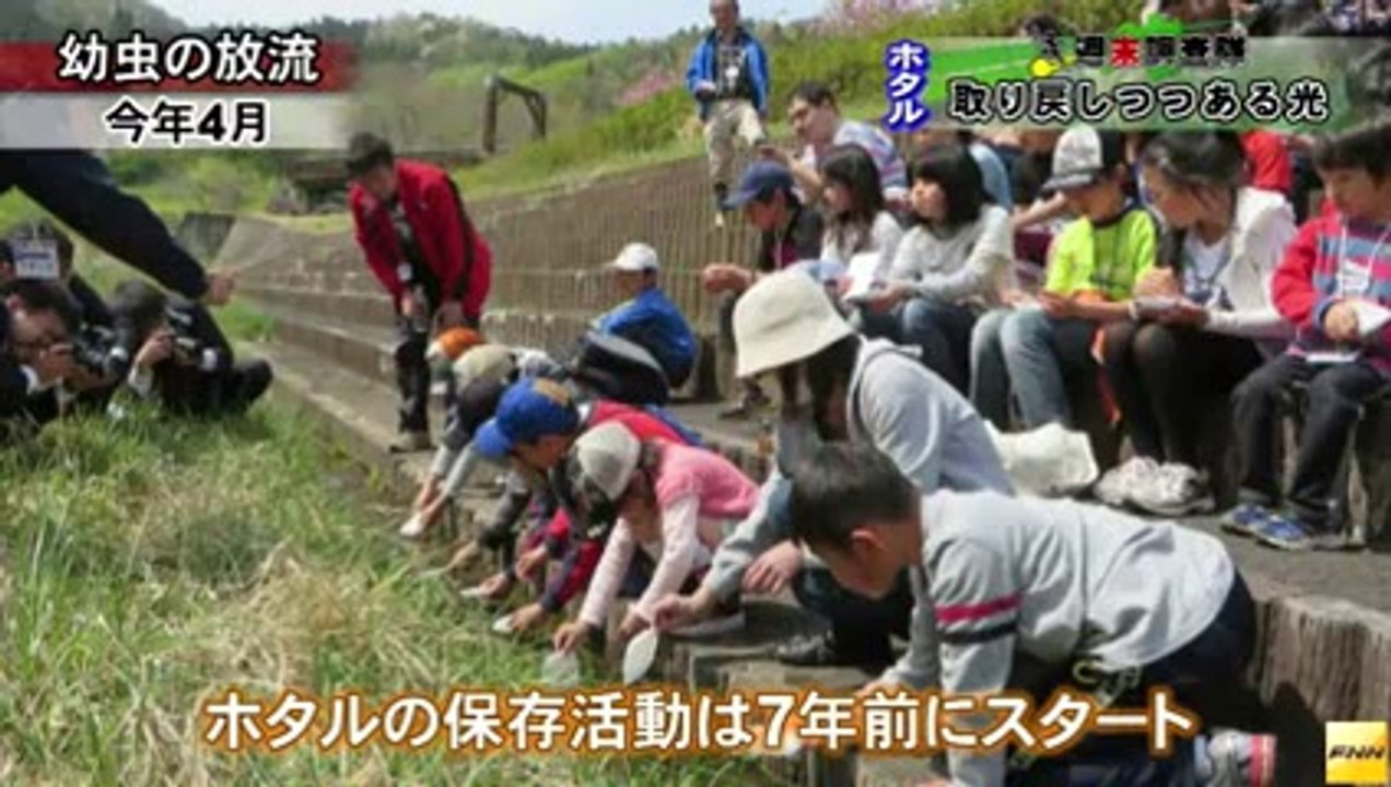 20140628ホタルの光を取り戻すため奮闘する人たちを取材しました　福島