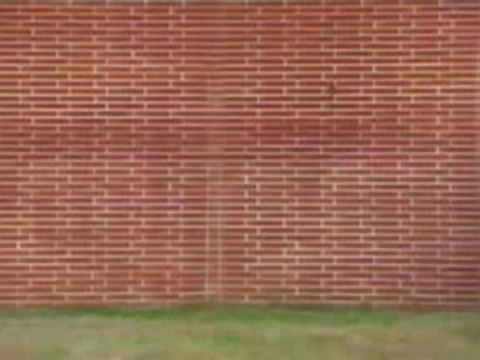 Buddy-Feat Jungle Brothers & A Tribe C.