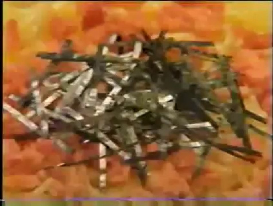 1996年　日清ＳＰＡ王　工藤静香　和風サーモン