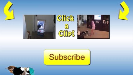 Just A Really Cute Kitten