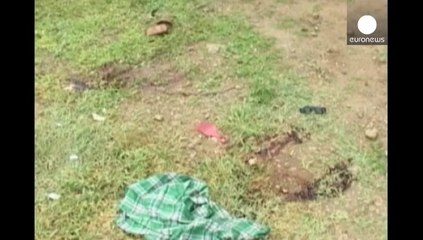 Une double-attaque fait 29 morts au Kenya