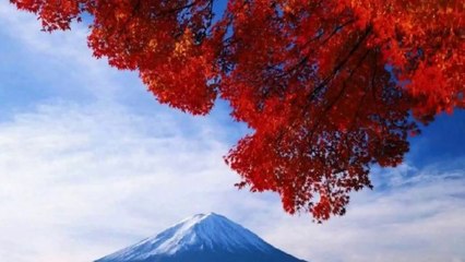 Người Tình Mùa Đông - 6868 (HD720)