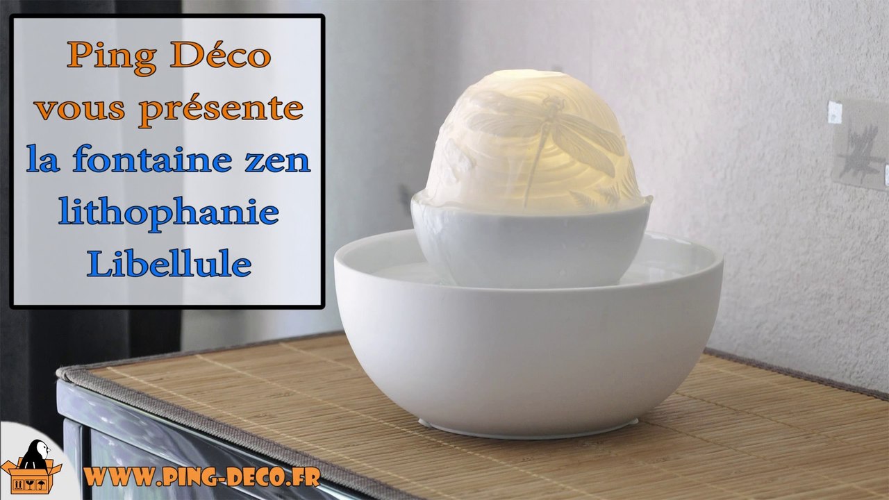 fontaine intérieur zen en céramique et porcelaine lithophanie libellule (WWW.PING-DECO.FR)