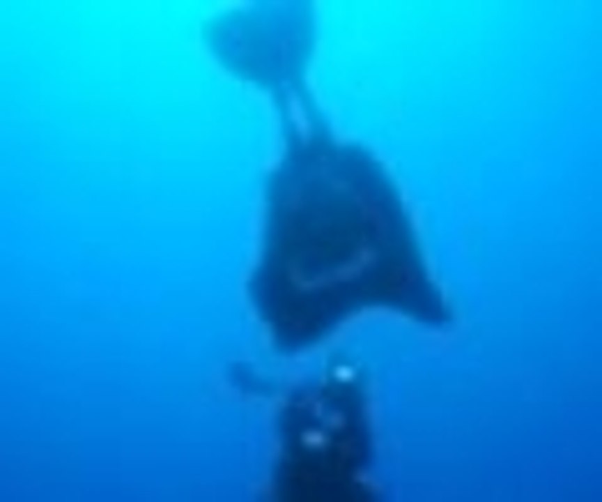 Milli sporcu rekor için dalacak