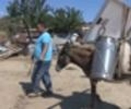 Eşek sırtında güneş enerjisinden elektrik üretimi