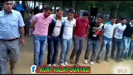 BİTLİSLİLER BAKIN NASIL HALAY ÇEKİYORLAR DEHŞEET