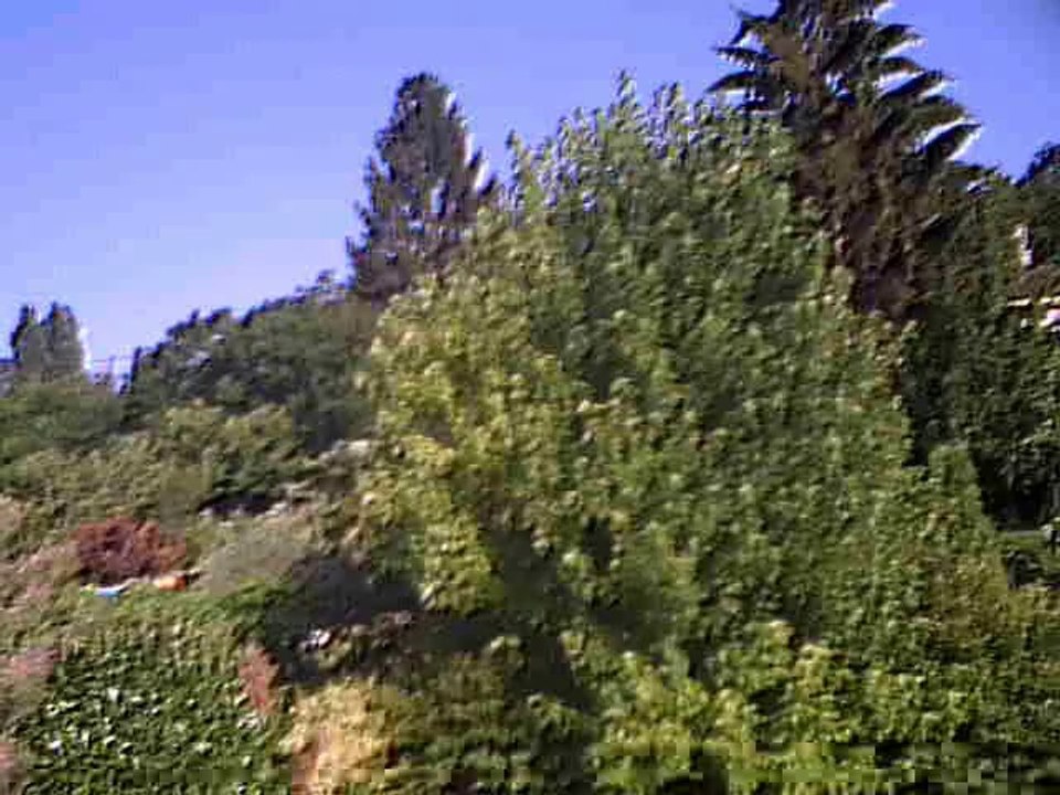 Partir ailleurs-Mano Solo cover