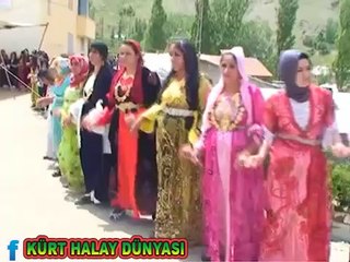İŞTE KÜRT USULU DÜĞÜN BEN BUNA DERİM