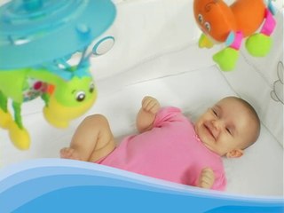 Tiny Love Türkiye  Müzik Kutulu Dönence