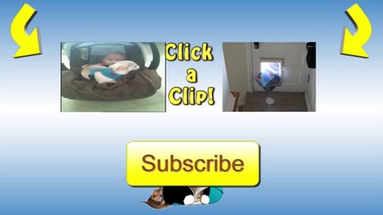 Dog Licks Baby's Tongue