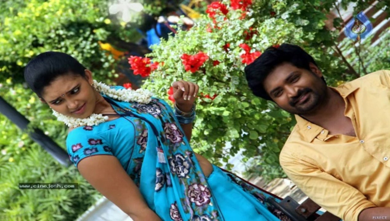 Pappali 2014