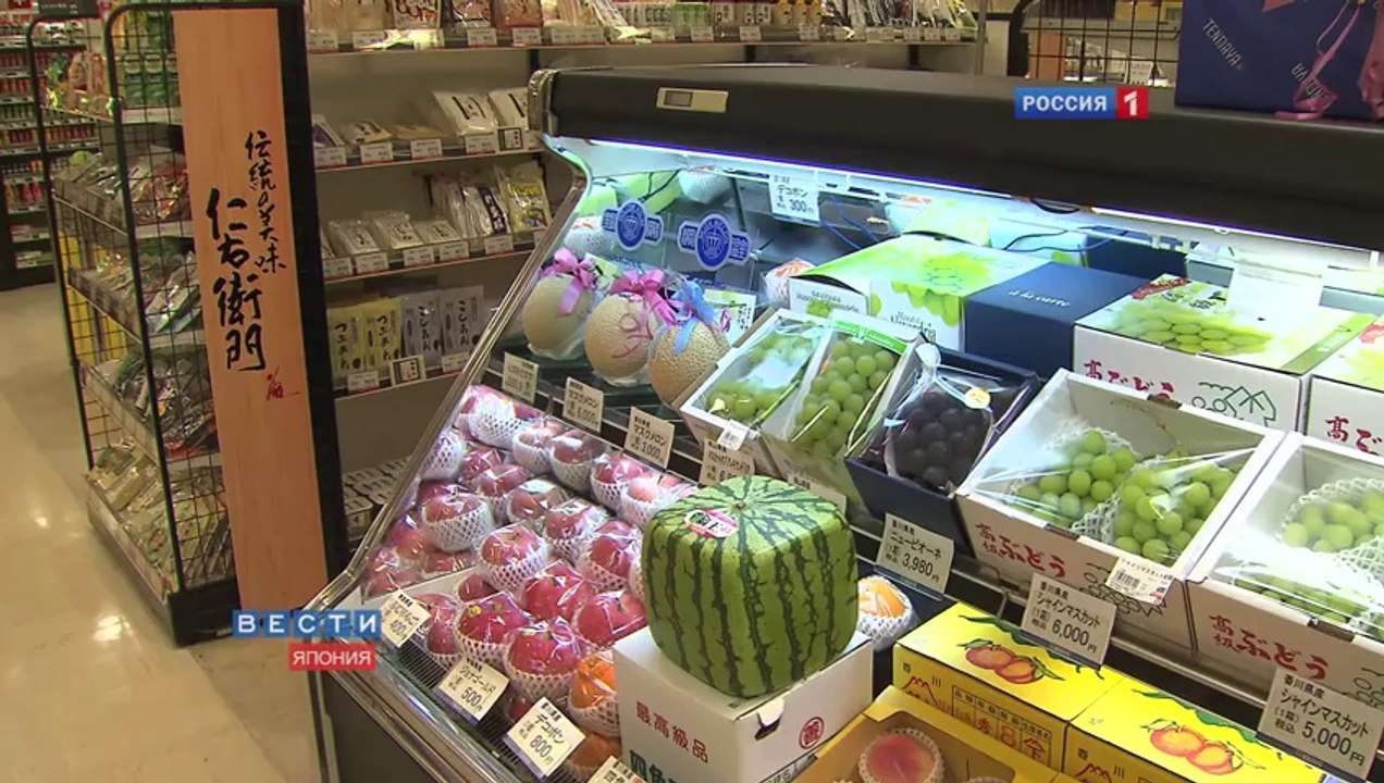 SQUARE WATERMELON IN JAPAN