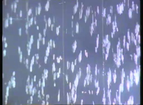 Sandra . In the heat of the night