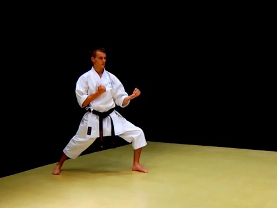 Shotokan Karate-Kizami Zuki