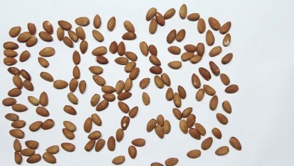 What You Should Be Eating When