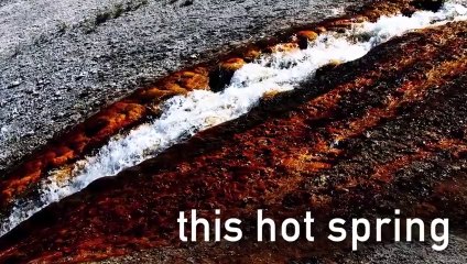 20 Things That Look Like Vaginas